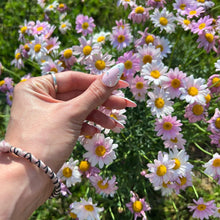 Charger l&#39;image dans la galerie, Blossom
