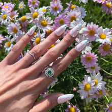 Charger l&#39;image dans la galerie, Blossom
